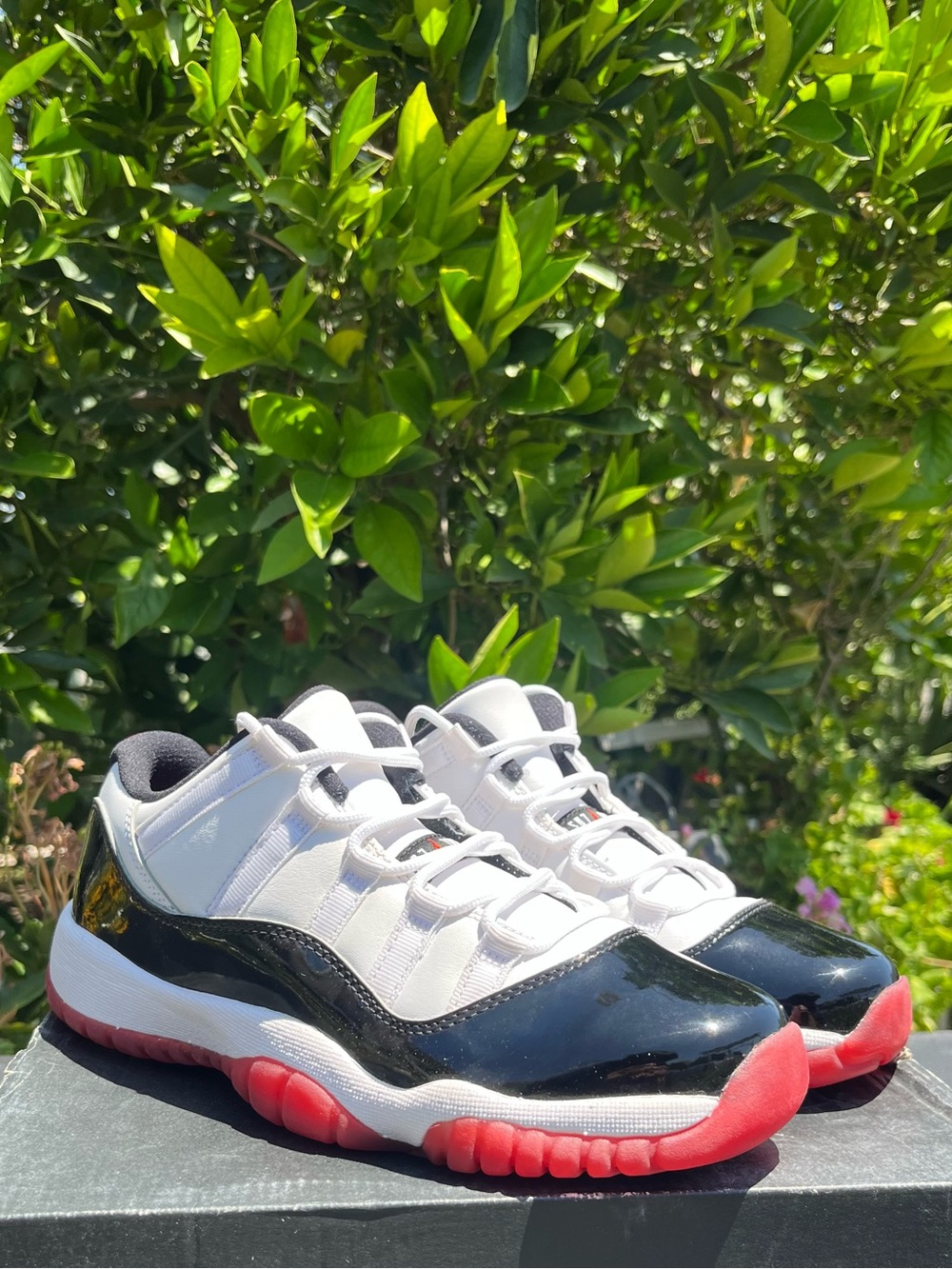 Air Jordan 11 Retro Low Concord Bred